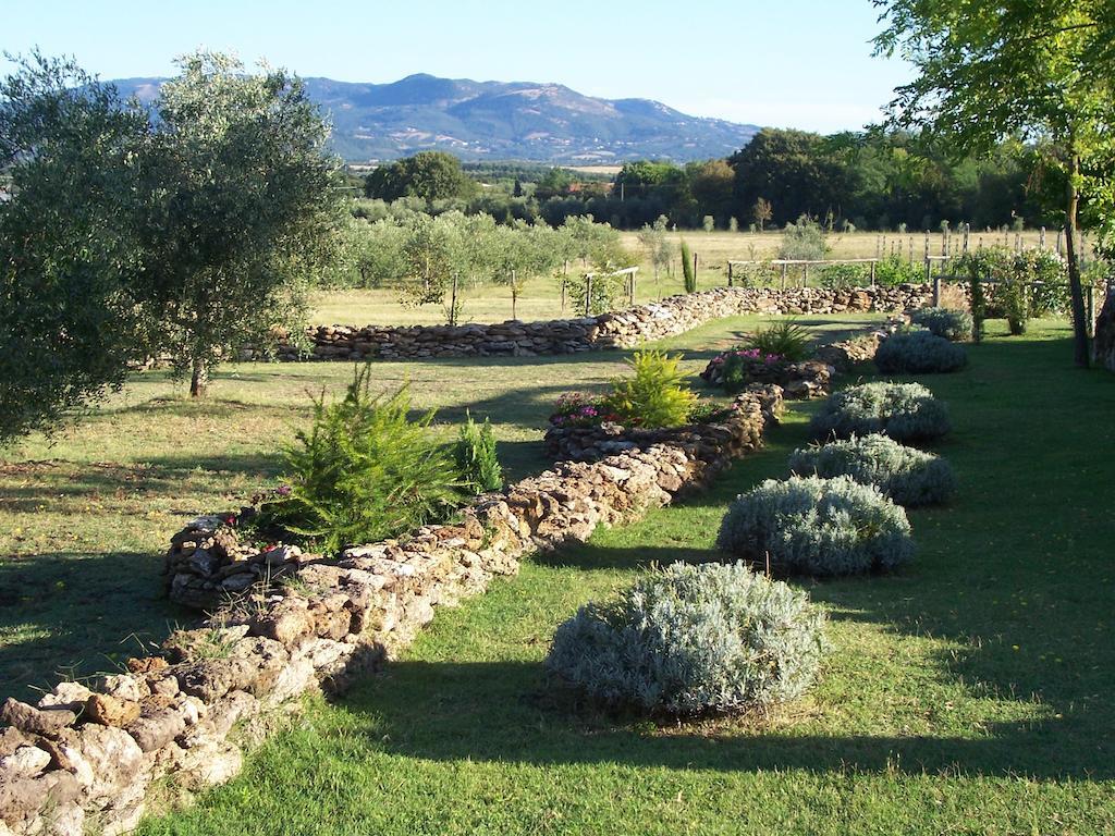 Agriturismo Il Grillo Parlante Питиляно Екстериор снимка