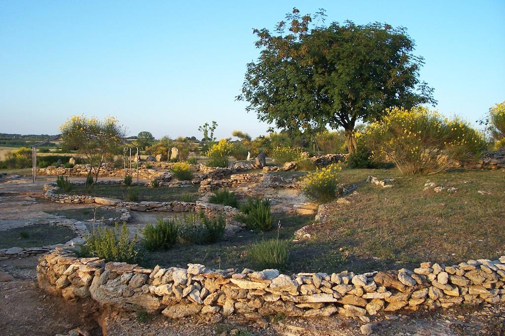 Agriturismo Il Grillo Parlante Питиляно Екстериор снимка