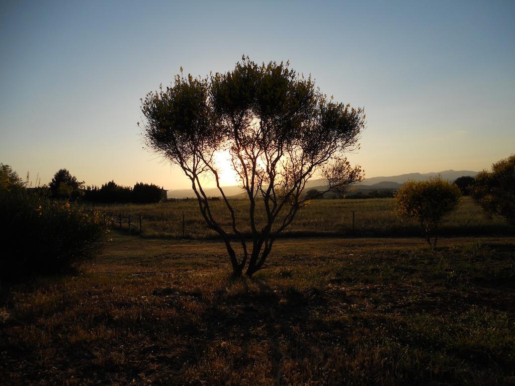 Agriturismo Il Grillo Parlante Питиляно Екстериор снимка