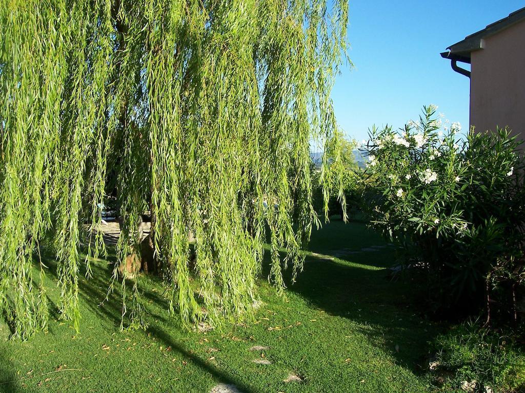 Agriturismo Il Grillo Parlante Питиляно Екстериор снимка