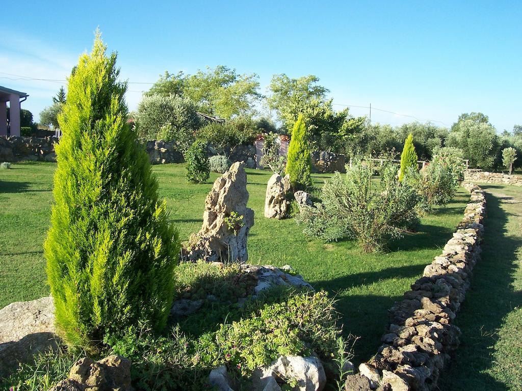 Agriturismo Il Grillo Parlante Питиляно Екстериор снимка